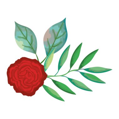 gül ve dekoratif simgesi yapraklar