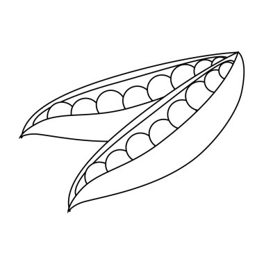 taze fasulye vejetaryen gıda