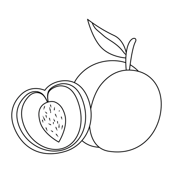 Icono de fruta fresca de mango — Vector de stock