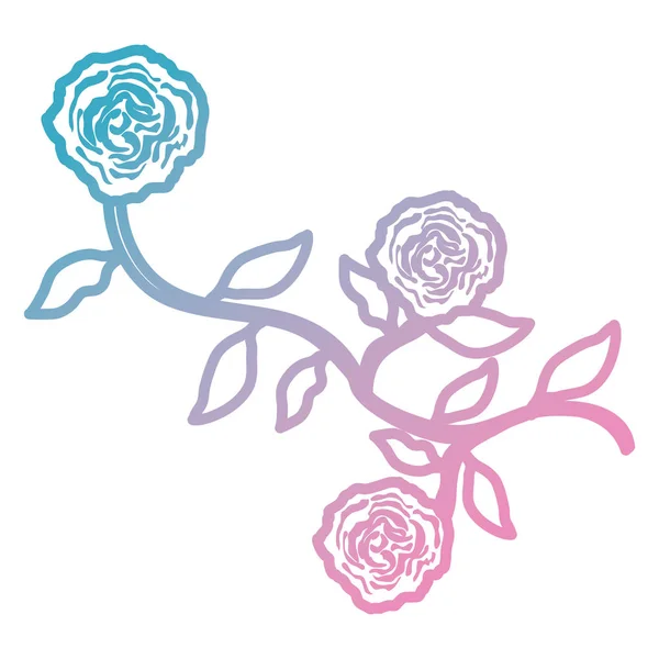 Rose und Blätter dekoratives Symbol — Stockvektor