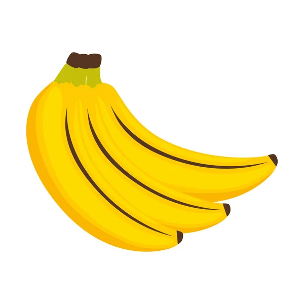 Egészséges banán friss gyümölcs — Stock Vector