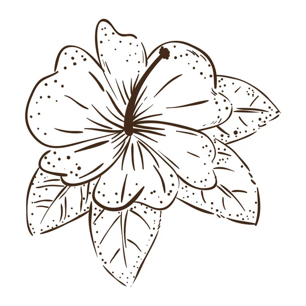 Fleur mignonne avec des feuilles décoratives — Image vectorielle