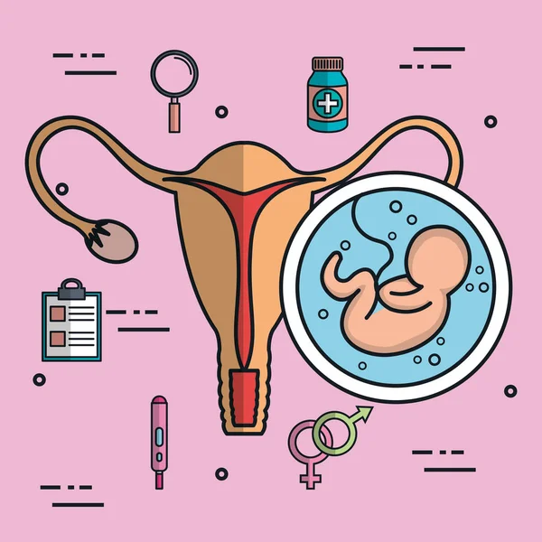 Bambino feto utero icona piatto isolato su sfondo rosa — Vettoriale Stock