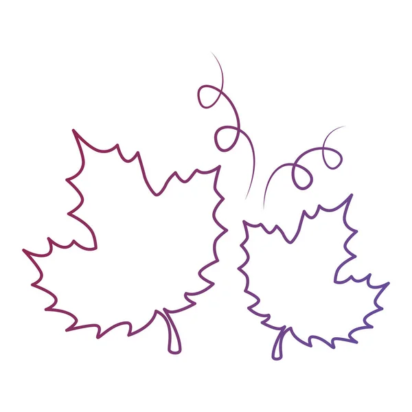 Druif Leafs geïsoleerd icoon — Stockvector