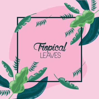 çerçeve tropikal yaprakları