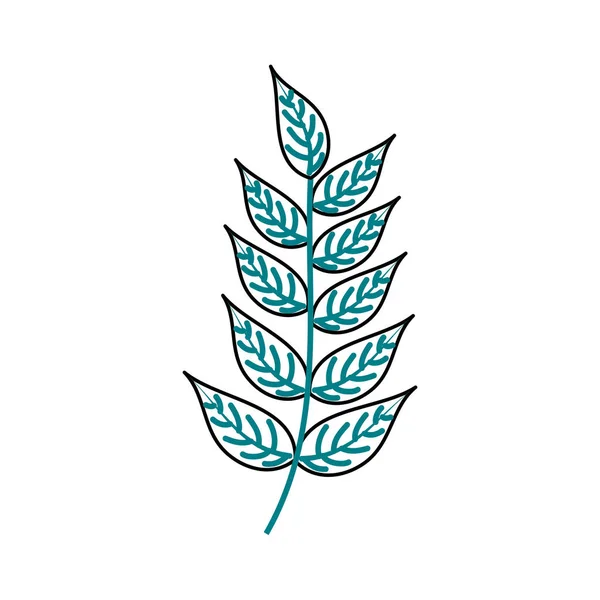 Branche plante avec feuilles jardin feuillage naturel — Image vectorielle