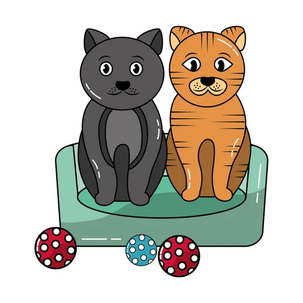 Dvě kočky, které sedí v posteli s kuličkou — Stockový vektor