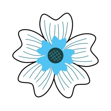 periwinkle çiçek süsleme doğa bitki