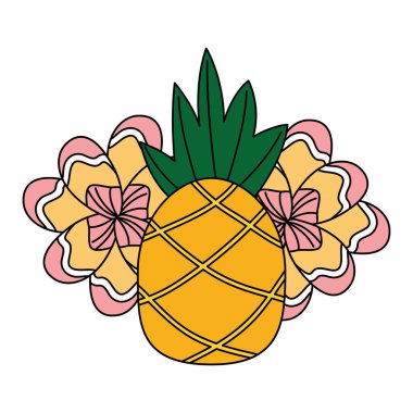 ananas meyve çiçek tropikal yaz