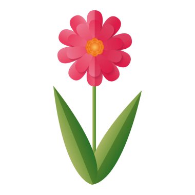 çiçekler yaprakları kök