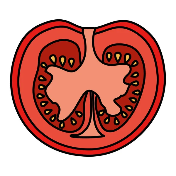 Свежий томат — стоковый вектор
