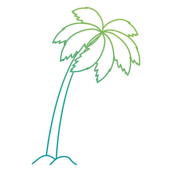 Tree palms isolated icon — Stock Vector