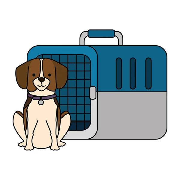 Perro con caja de transporte mascota — Vector de stock