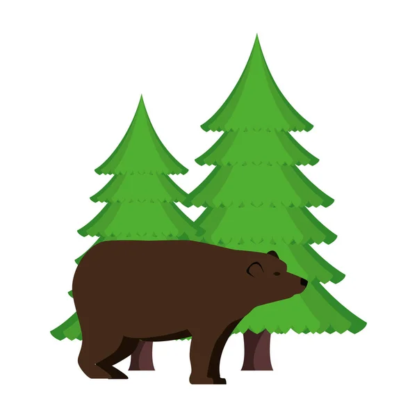 Bear grizzly with pines forest — Stock Vector