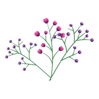 tohum doğal simgesi olan şube