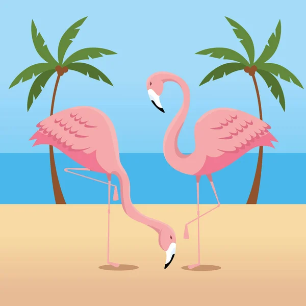 Trópusi flamingók pálmák fák a strandon — Stock Vector