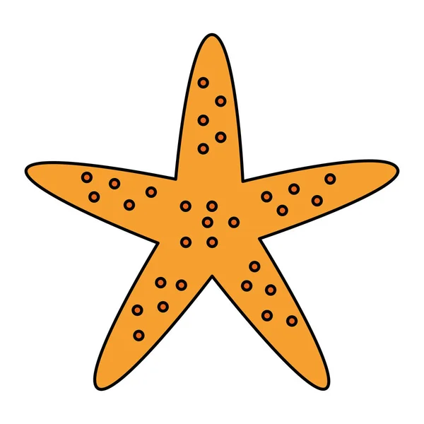 Bintang laut ikon pantai hewan - Stok Vektor