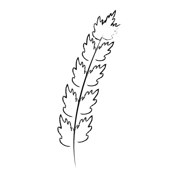 Leaf of marine plant — Stock Vector