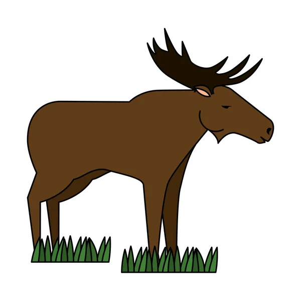 Kanadai jávorszarvas vad ikon — Stock Vector