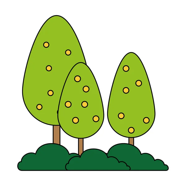 Arbres plantes forêt icône — Image vectorielle