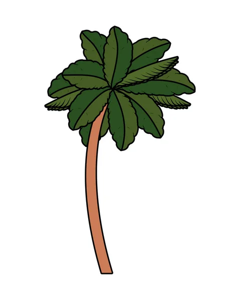 Árbol tropical palmera icono — Vector de stock