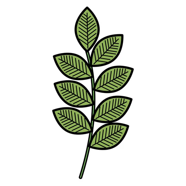 Branche avec icône décorative de feuilles — Image vectorielle