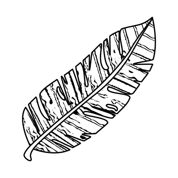 Planta de hoja exótica icono — Vector de stock