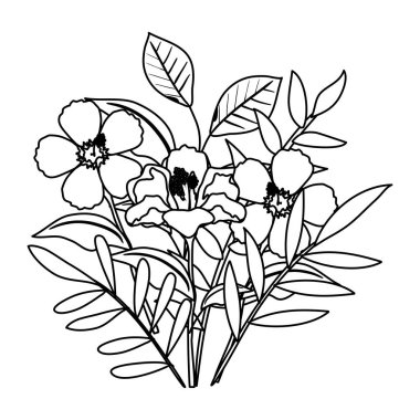 Güzel çiçekler ve yapraklar.