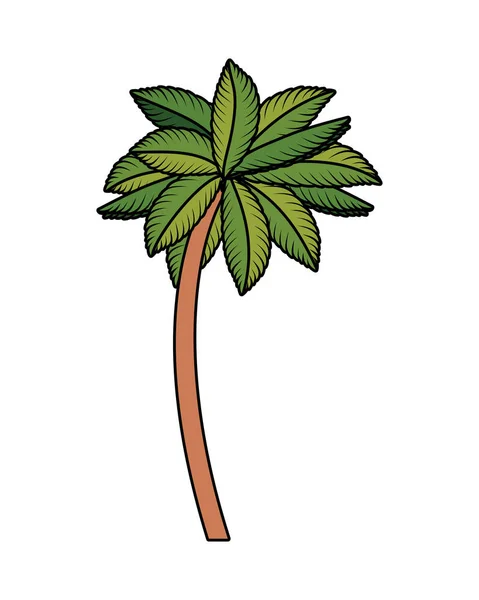 Tropische boom Palm icon — Stockvector