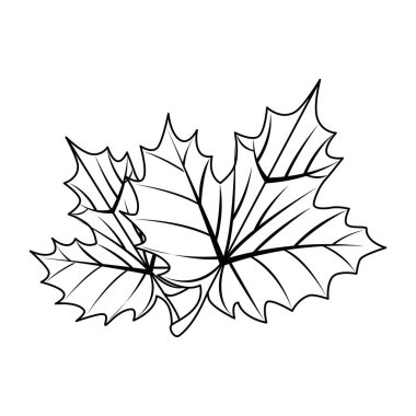 üzüm yaprağı izole simgesi