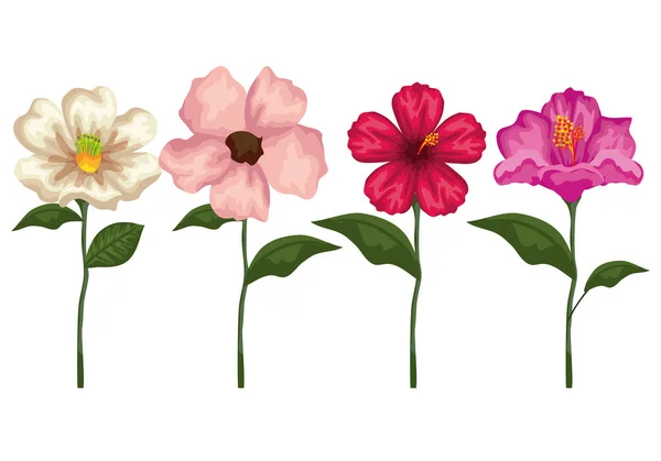 Nastavit tropické květiny rostliny s exotickými listy — Stockový vektor