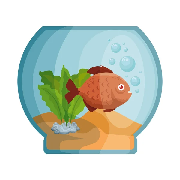 Miska na akvárium s barvami Fish — Stockový vektor