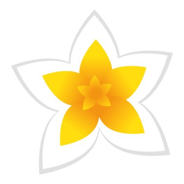 egzotik ve tropikal çiçek