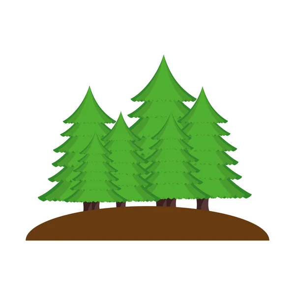 Pinheiros árvores floresta cena — Vetor de Stock