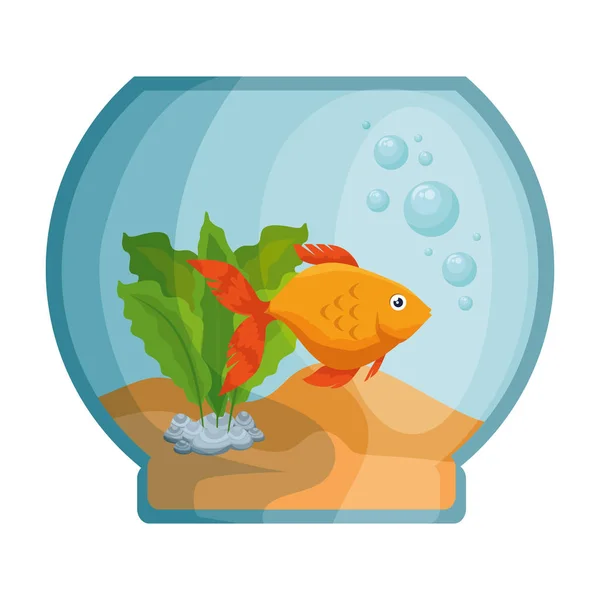 Tigela de aquário com peixes cores — Vetor de Stock