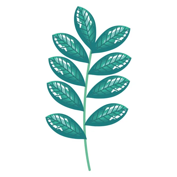 Κλαδί με φύλλα διακοσμητικά εικονίδιο — Διανυσματικό Αρχείο