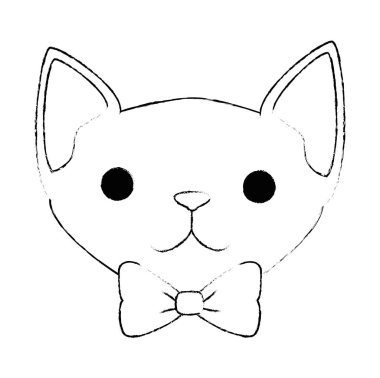 sevimli kedi maskot baş karakter