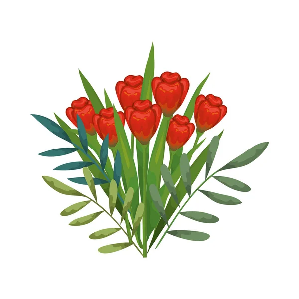 Gyönyörű rózsák és a levelek dekoráció — Stock Vector