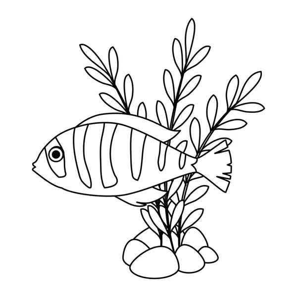 Mignon poisson d'ornement aux algues — Image vectorielle