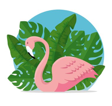 tropikal Flaman ile egzotik bitkiler yaprakları