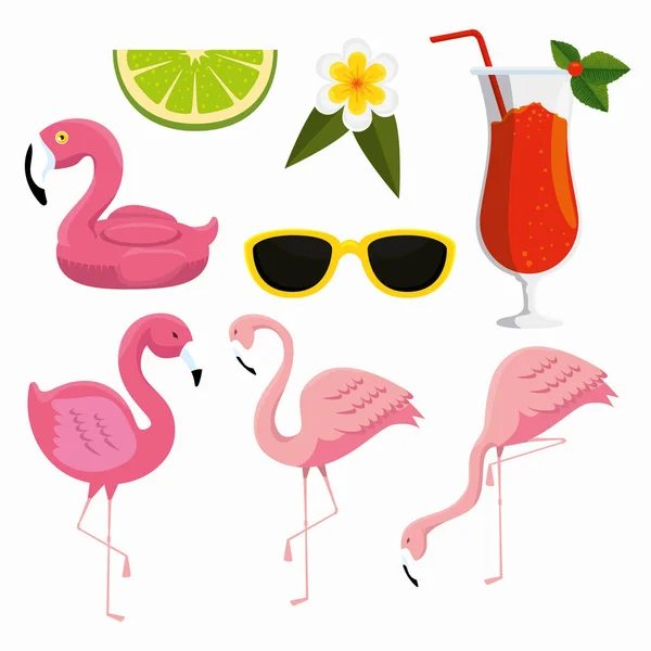 Set tropische Flamingos mit Sonnenbrille und Cocktail — Stockvektor