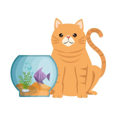 renkleri balık ve kedi ile akvaryum kase