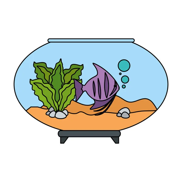 Akwarium miska z kolorami ryb — Wektor stockowy