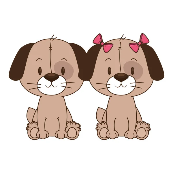 Bonito e adorável casal de personagens de cães —  Vetores de Stock