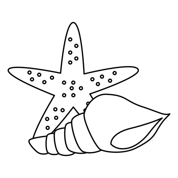 Морская звезда с улиткой — стоковый вектор