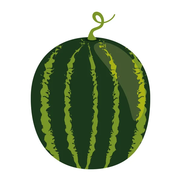 Ikona owoce świeże arbuz — Wektor stockowy