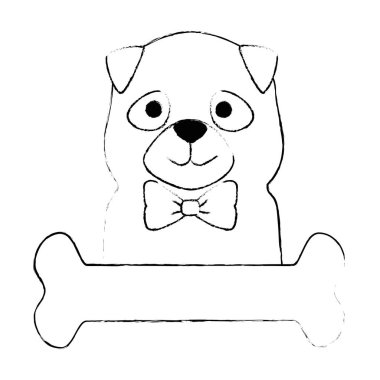 kemik karakteri ile sevimli köpek ırkı