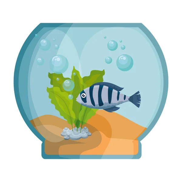 Tazón de acuario con colores peces — Vector de stock