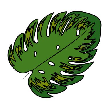 egzotik yaprak bitki simgesi