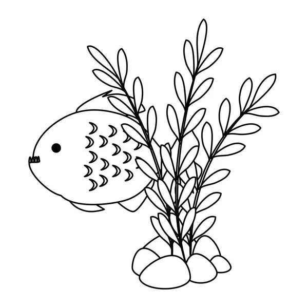 Lindo peces ornamentales con algas marinas — Vector de stock